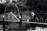 1958 год, старое кладбище г. Козельска. Могилка отца Рафаила