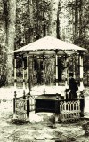 Колодец прп. Амвросия