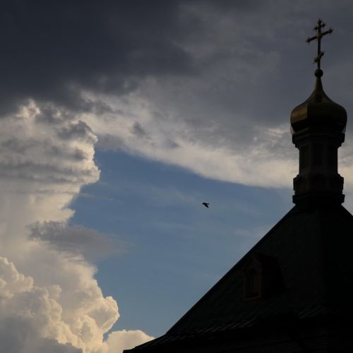 Плод скорбей &ndash; очищение души