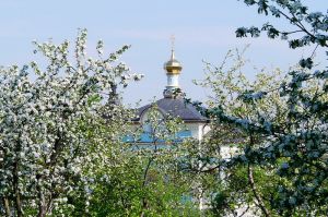О раздражительности