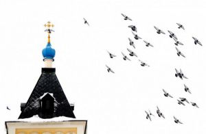 Пейзаж с голубиной стаей